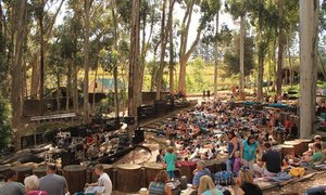 Community Events & Festivals in the Elgin Valley